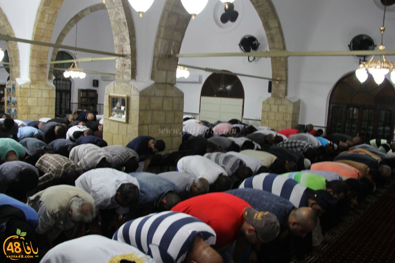 trawe7 salahsaj (12).jpg